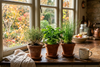 Bring the Garden Indoors: A Cozy Herb Garden for Fall