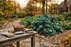 What to Plant in Fall: Spring Perennials, Flower Bulbs, and Cool-Season Vegetables