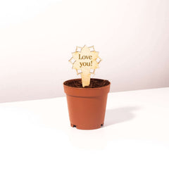 Plant Message Stakes - Add On Item