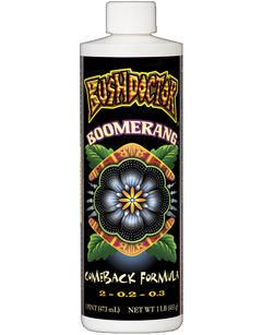 Bush Doctor Boomerang