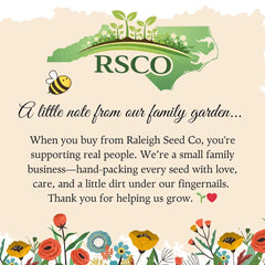 Bee Friendly Wildflower Seed Favors 25 Pack, Pre Filled Seed Packets, Garden Party Gifts