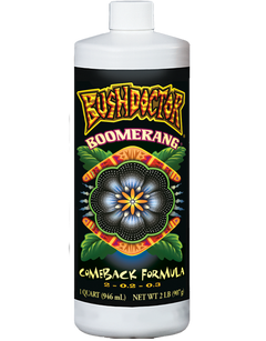 Bush Doctor Boomerang
