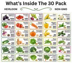 30 Seed Packet Vault: Heirloom, Non-GMO Vegetable Seed Packets