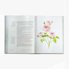 The Secret Garden Art Novel™