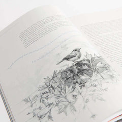The Secret Garden Art Novel™