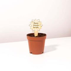 Plant Message Stakes - Add On Item