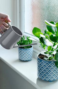 Burgon & Ball® Indoor Watering Can, Charcoal