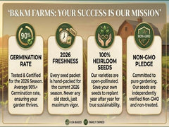 30 Seed Packet Vault: Heirloom, Non-GMO Vegetable Seed Packets