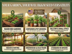 30 Seed Packet Vault: Heirloom, Non-GMO Vegetable Seed Packets