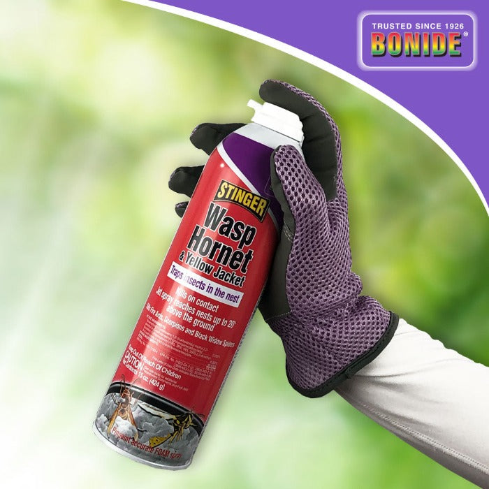 Bonide Stinger Wasp & Hornet Foam