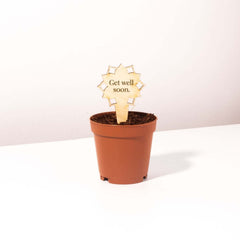 Plant Message Stakes - Add On Item