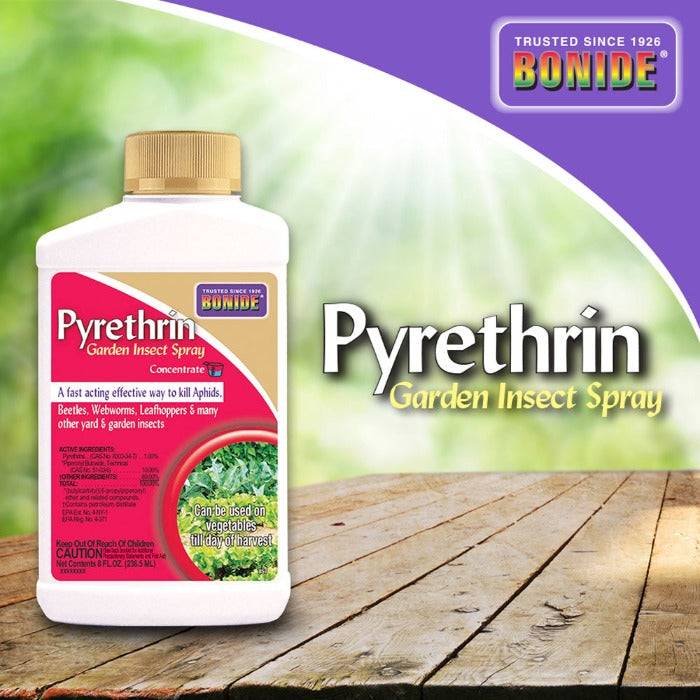 Bonide Pyrethrin Garden Insect Spray Concentrate