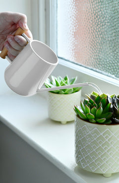 Burgon & Ball® Indoor Watering Can, Stone
