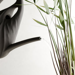Swirl Watering Can