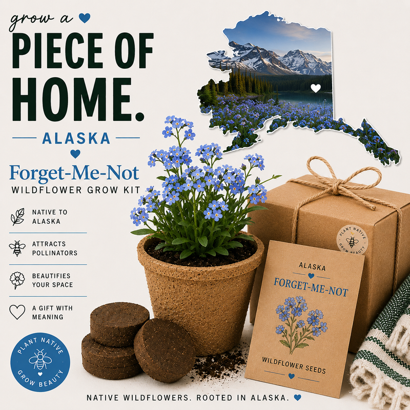 Alaska - Forget-Me-Not Wildflower Grow Kit