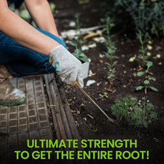 Stainless Steel Garden Dandelion Weeder (classic wood handle)