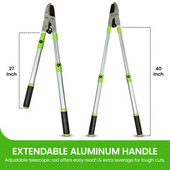 Extendable Anvil Loppers Tree Trimmers