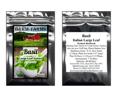 Basil Seeds (Italian Large Leaf) – Non-GMO Heirloom Seeds for Planting