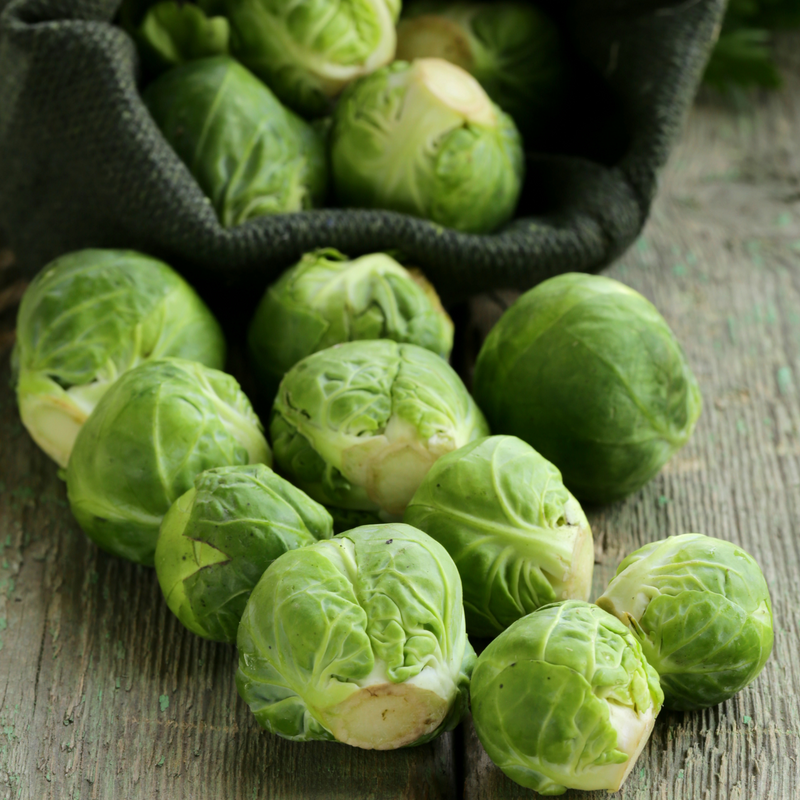 Brussels Sprouts Long Island Improved Heirloom Seeds