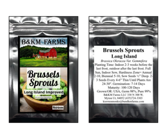 Brussels Sprouts Long Island Improved Heirloom Seeds