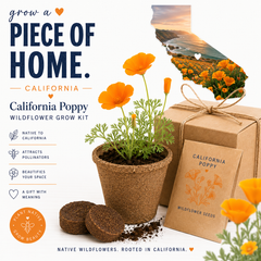 California Poppy Grow Kit