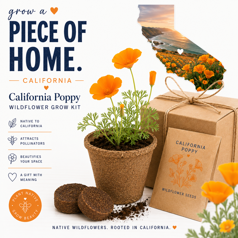California Poppy Grow Kit