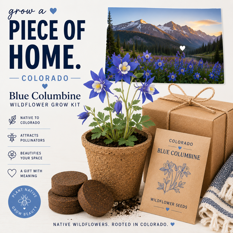 Colorado Blue Columbine Grow Kit