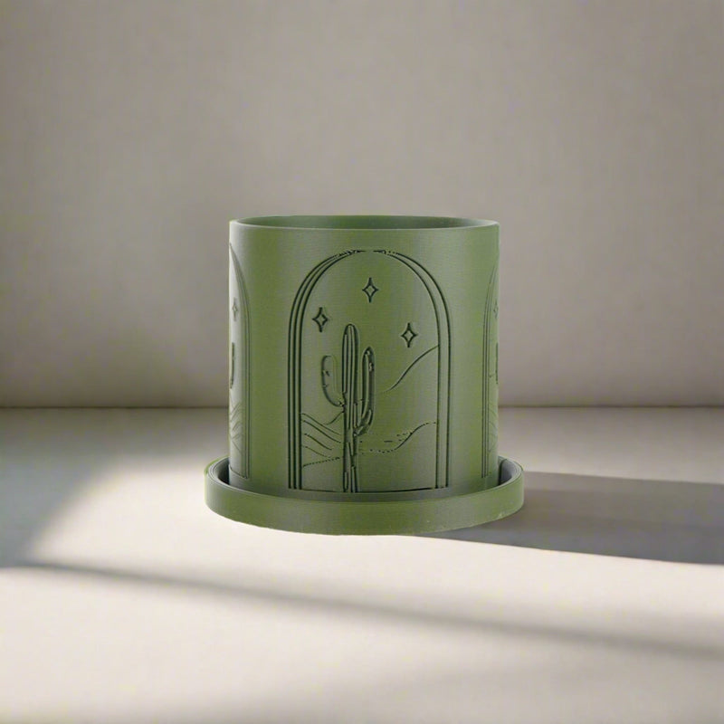 Cactus Planter