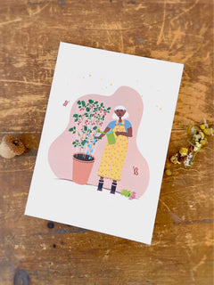 Butterfly Garden Pollinator Greetings Kit w. Non-GMO Butterfly Seed Packet, Infosheets + Gardener Greeting Card (Celebrate Pollinators)