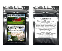 Cauliflower Snowball Y Improved