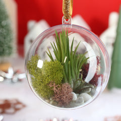 Tillandsia Air Plant Ornament
