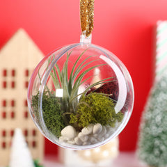 Tillandsia Air Plant Ornament