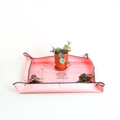 Succulent Terracotta Creations DIY Kit