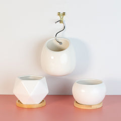 Minimalistic Ceramic White Signature Planter Bundle