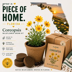 Florida Coreopsis Wildflower Grow Kit