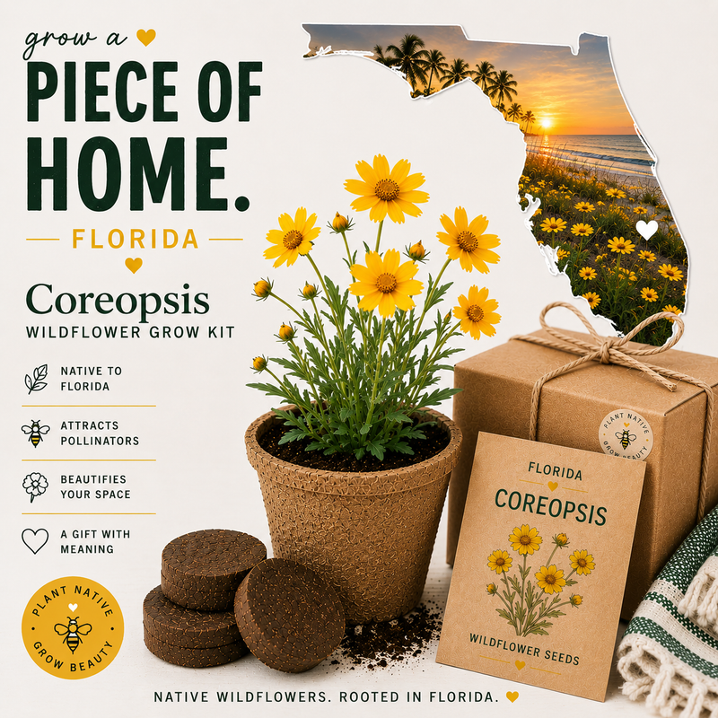 Florida Coreopsis Wildflower Grow Kit