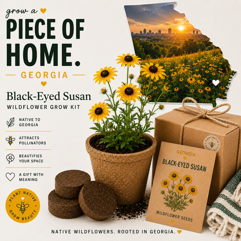 Georgia Black-Eyed Susan Grow Kit