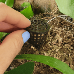 Fertilizer Basket - Lyfe Slow Release