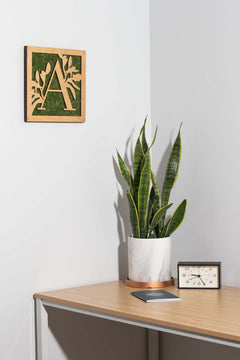 Monogrammed Moss Frame - Wooden Botanical Wall Art Letter "L"