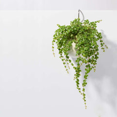 Amelia Hanging Planter 4"- Empty
