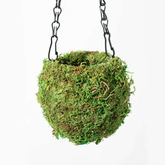 Fresh Green Kokedama Moss Hanging Planter Ball