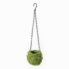 Fresh Green Kokedama Moss Hanging Planter Ball