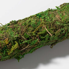 Moss Pole Green