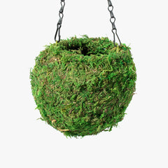 Fresh Green Kokedama Moss Hanging Planter Ball