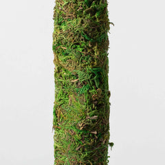 Moss Pole Green