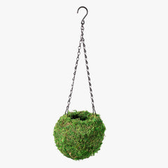 Fresh Green Kokedama Moss Hanging Planter Ball