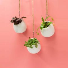 Amelia Hanging Planter 4"- Empty