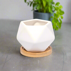 Wanda Planter - Empty