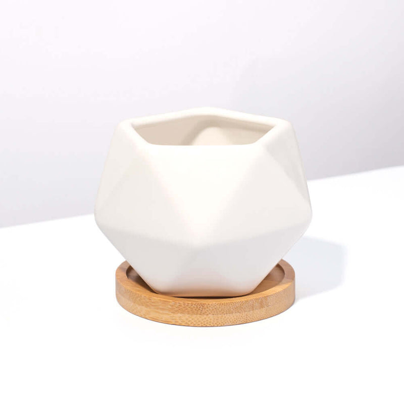 Wanda Planter - Empty