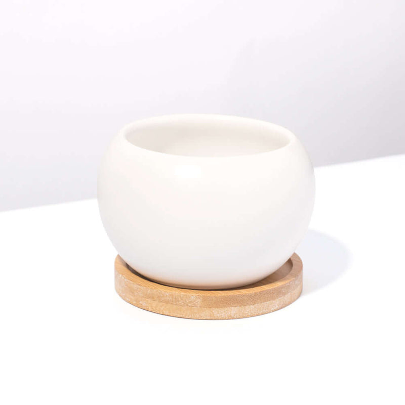 Diana Ceramic 3